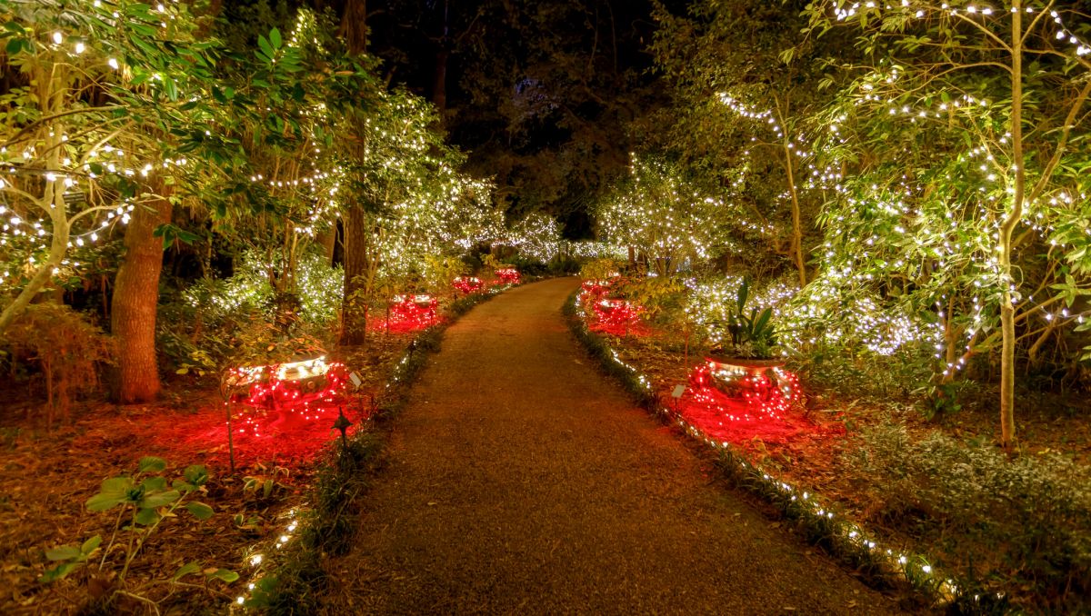 December Events In North Carolina – Christmas Attractions | VisitNC.com